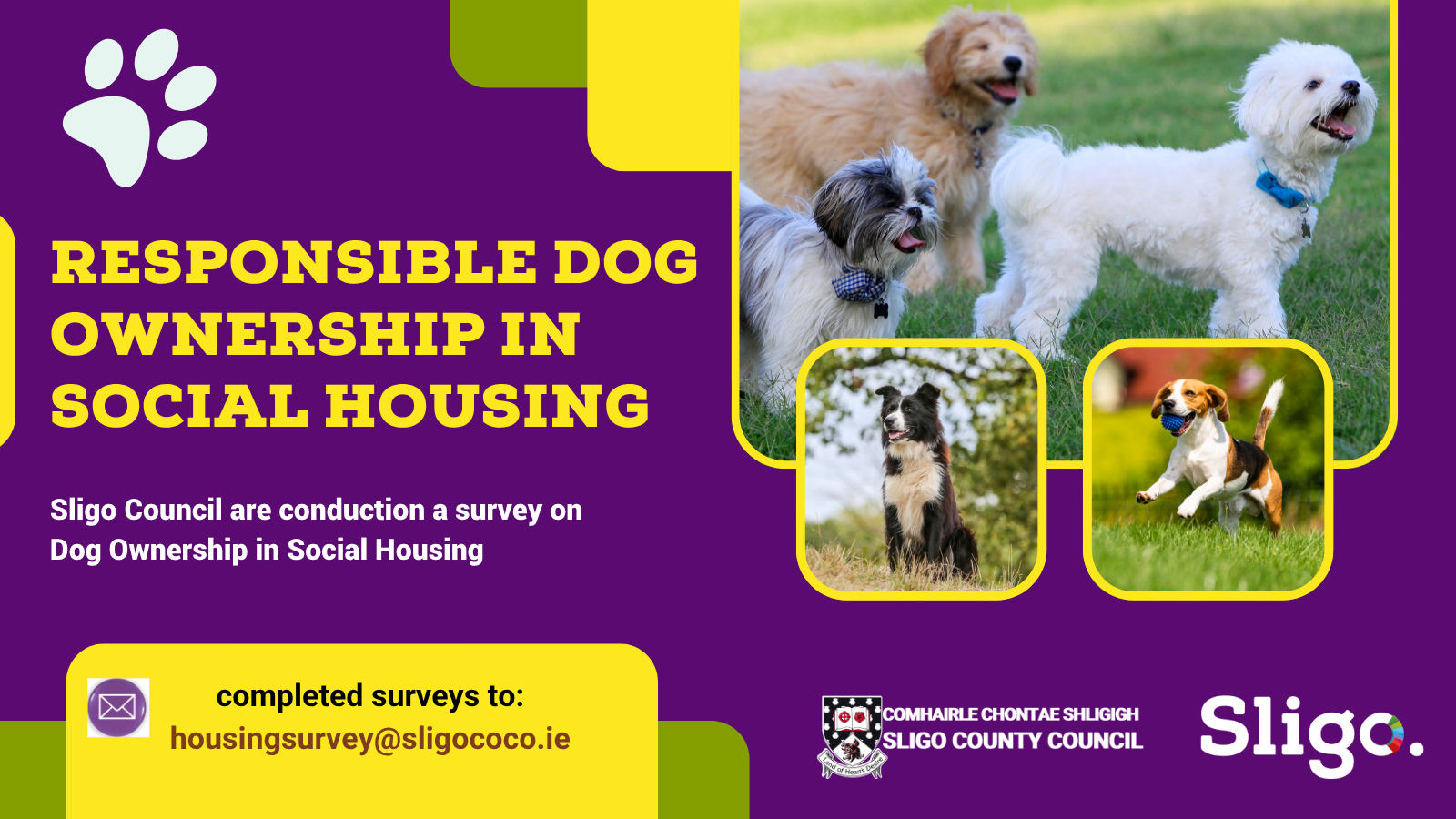 Focus on Responsible Dog Ownership in Social Housing